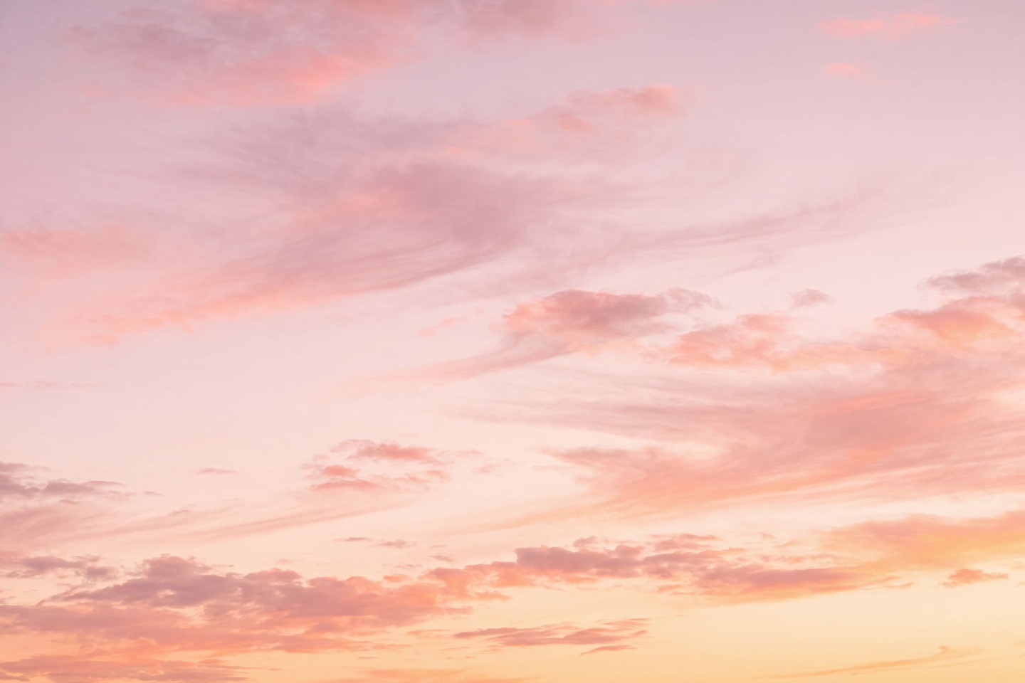 夕日 61