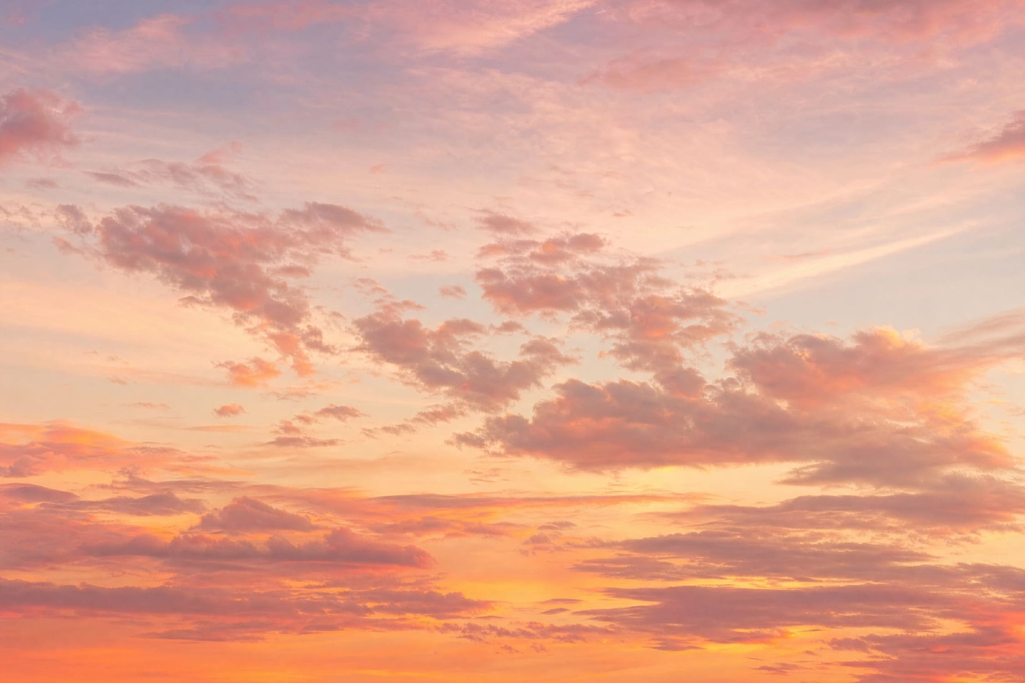 Tramonto 63