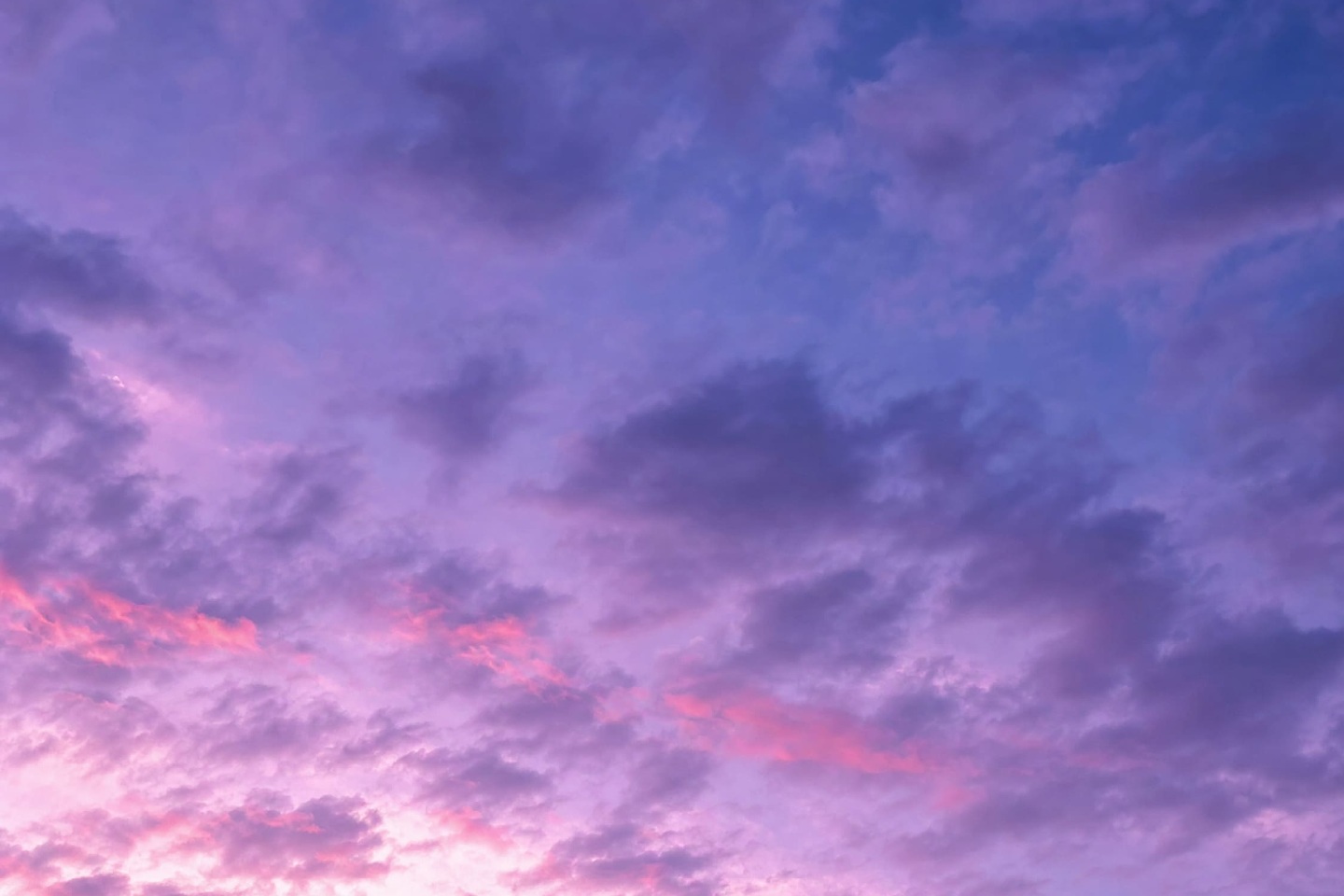 夕日 81