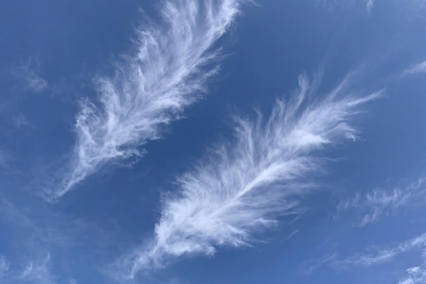 Cielo caprichoso 10