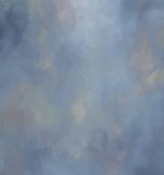 Fabric14