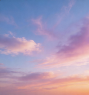 Sunset 44