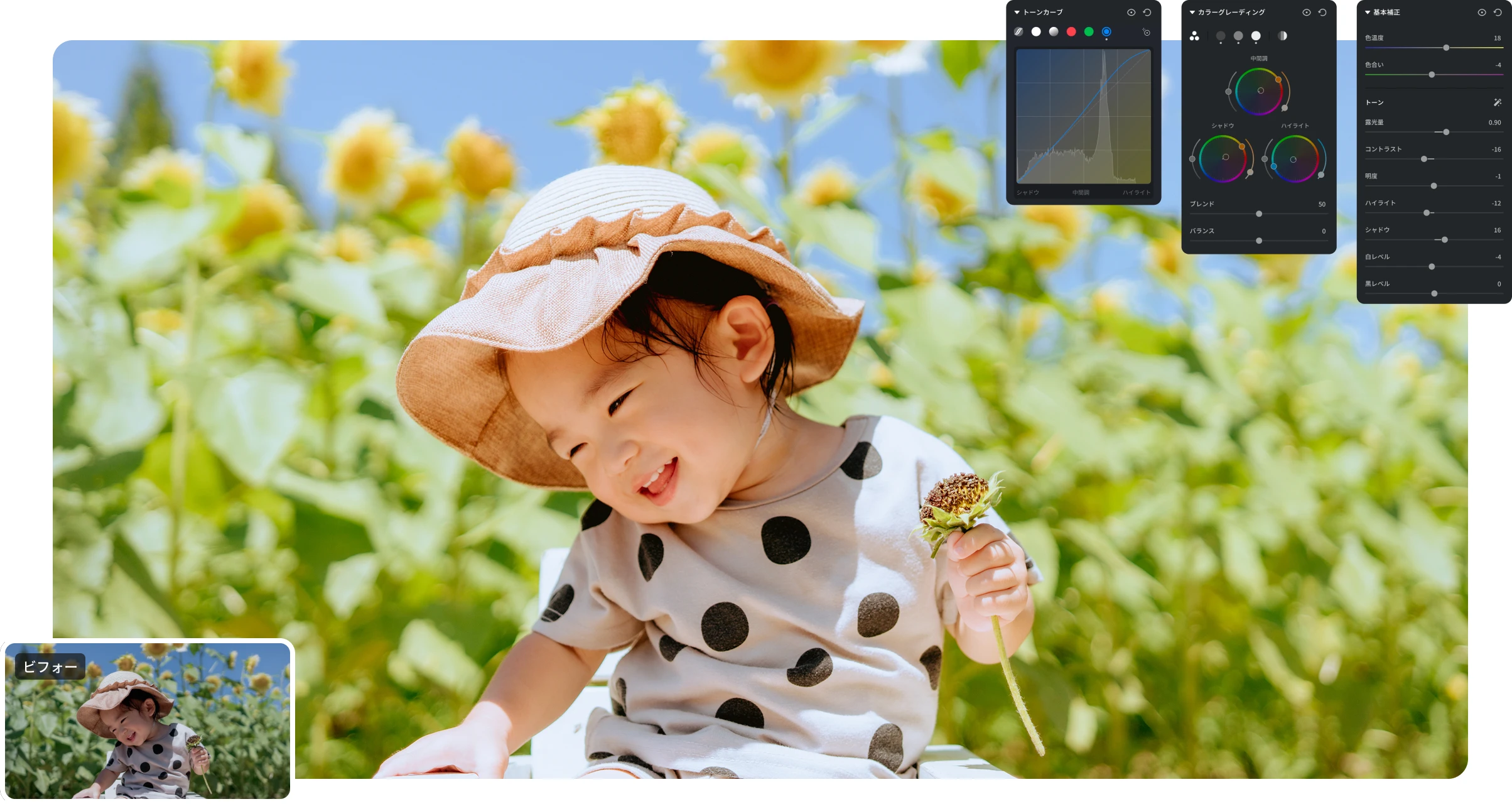 基本補正機能の画面イメージ