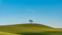 Evoto AIで写真の空を置き換え