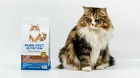 Eliminación de pelos sueltos para fotografía de mascotas